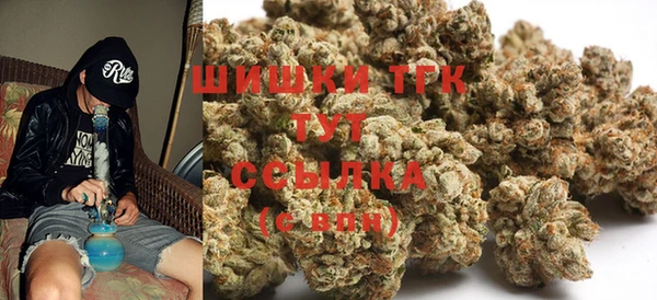 apvp Рославль