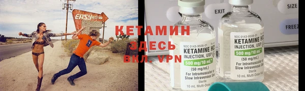 прущие грибы Богданович