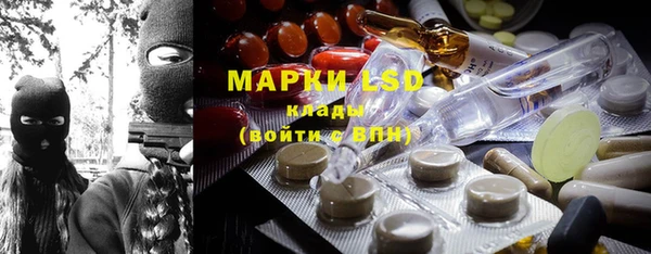 прущие грибы Богданович