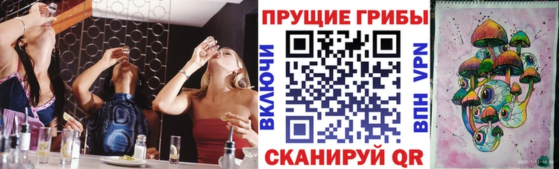 Псилоцибиновые грибы мицелий  Малоярославец 